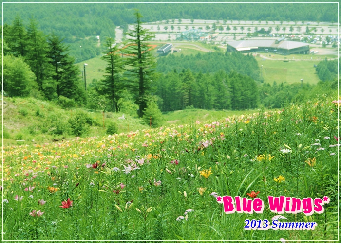 2013081806画像