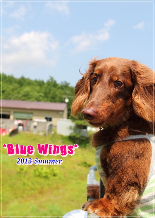 2013081812画像