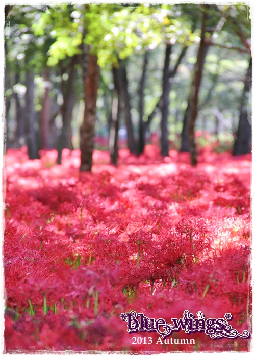 20130929019画像