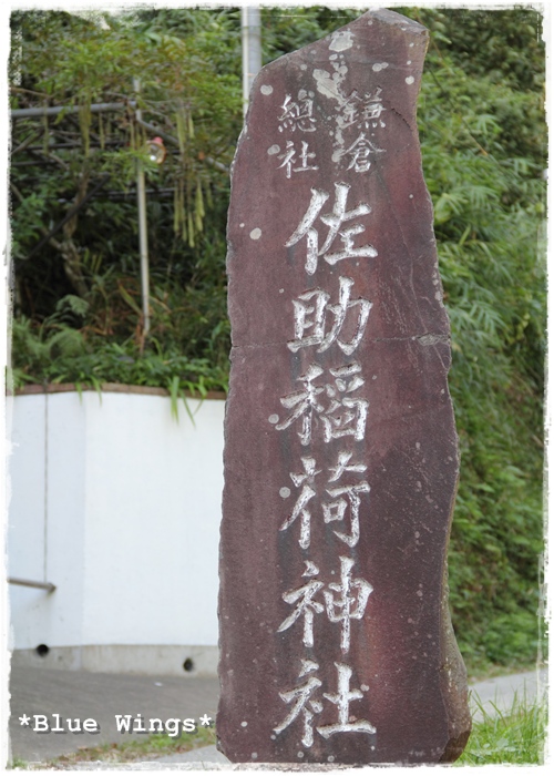 2013103104画像