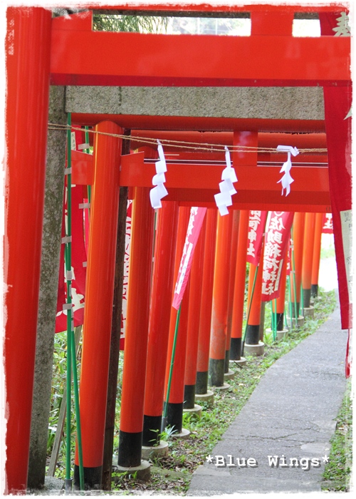 2013103105画像