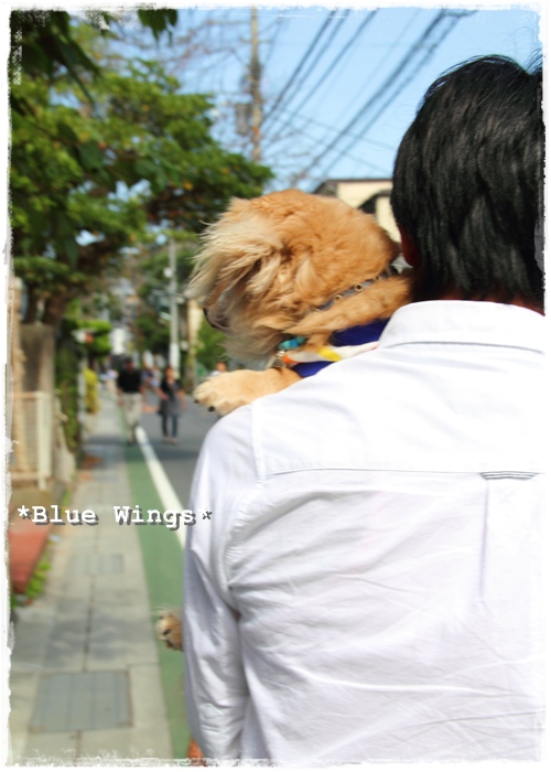 2013103114画像