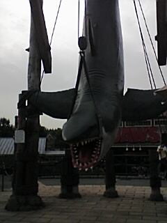 20060804_211017.jpg