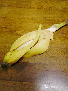 20060911_225870.jpg