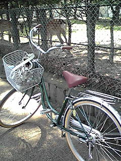 090817_1025~01.JPG