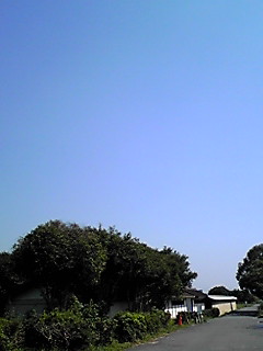 090817_1443~01.JPG