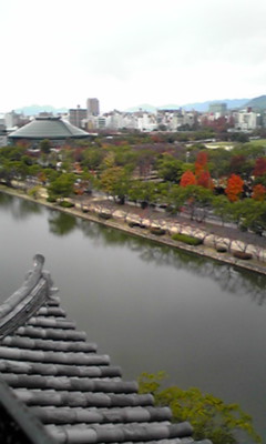 091129_1125~01.JPG