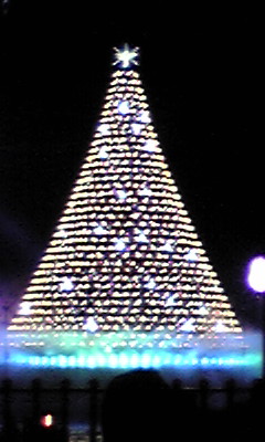 091216_2023~01.JPG