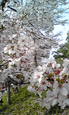 100406_1522~01.JPG