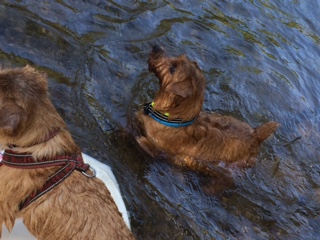 image1.JPG