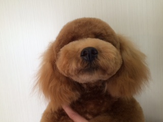image1.JPG