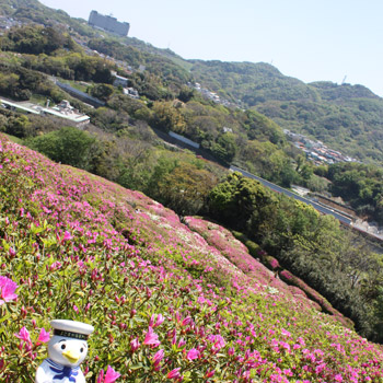 太田和つつじの丘 2010 横須賀海軍カレー本舗 スカレーブログ