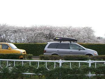 根岸森林公園