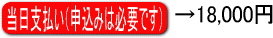 当日支払