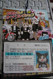 ナメネコ免許