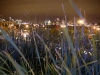 The High Line公園2