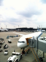 飛行機