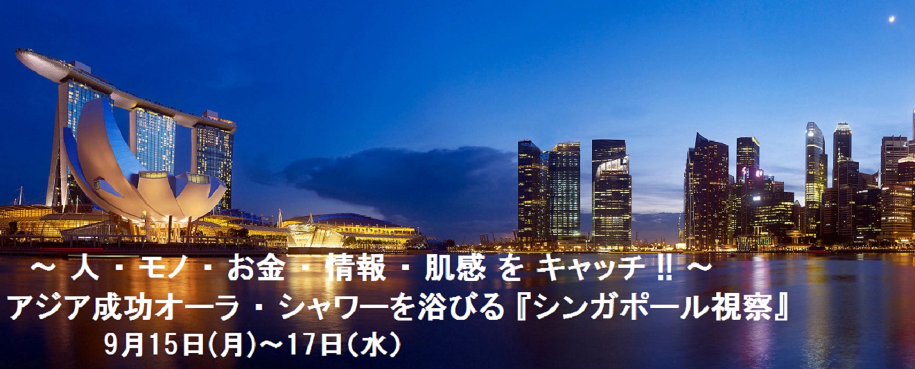 2014シンガポール視察