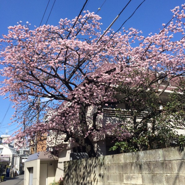 image1.JPG