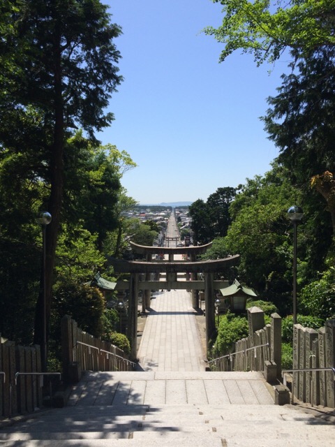 image1.JPG