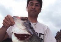 bass