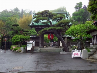 長谷寺1