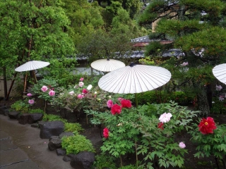 長谷寺5