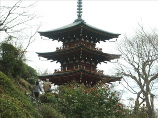 岡寺4