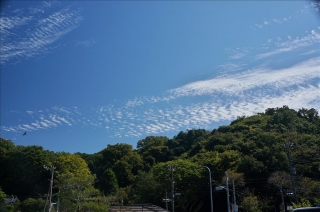 十二所神社1