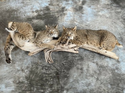20210706_2835193.jpg