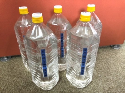 ヒラスズキ 色彩保存液浸標本 沖縄県大東諸島の深海洞窟から日本初