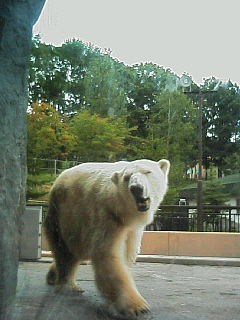 20060918_153224.jpg