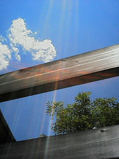 20070520_296920.jpg