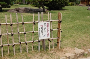 チカンに注意
