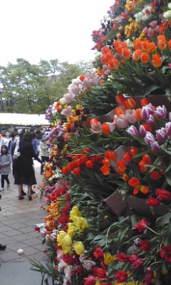 となみチューリップフェア