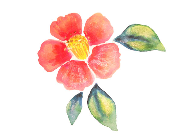 つばきの水彩画　原画　A4サイズ 577＊八重椿 水彩画 原画 透明水彩画 物悲し