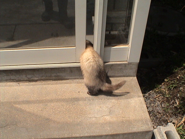 DSC00570.JPG