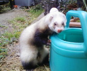 20090603120429.jpg