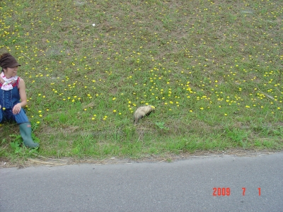 DSC03721.JPG