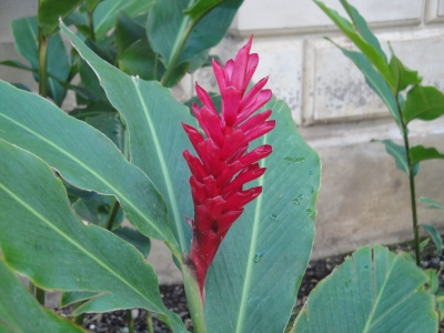 DSC03984.JPG