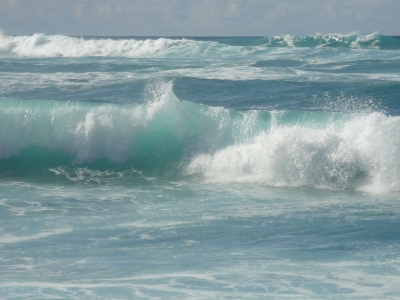DSC04061.JPG