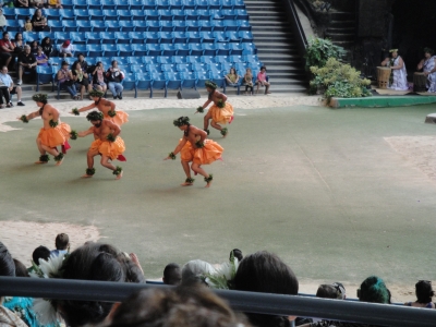 DSC04170.JPG