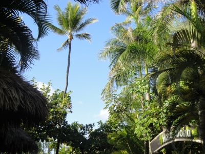 DSC04185.JPG