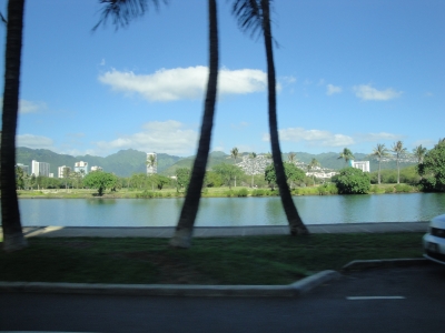 DSC04238.JPG