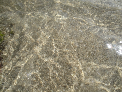 DSC04265.JPG
