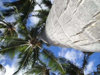 DSC04285.JPG