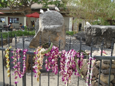 DSC04289.JPG