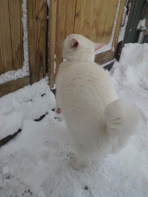 2013021110040000.jpg
