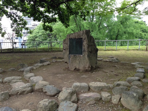 IMG_6805.jpg