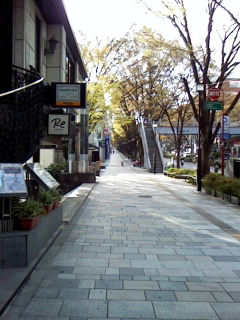 Image310.jpg